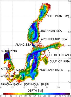 Assessment of Uncertainties in Scenario Simulations of Biogeochemical Cycles in the Baltic Sea